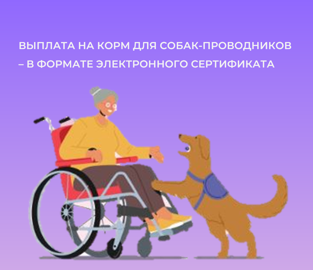Люди с нарушением зрения теперь могут возместить затраты  на корм для собак-проводников