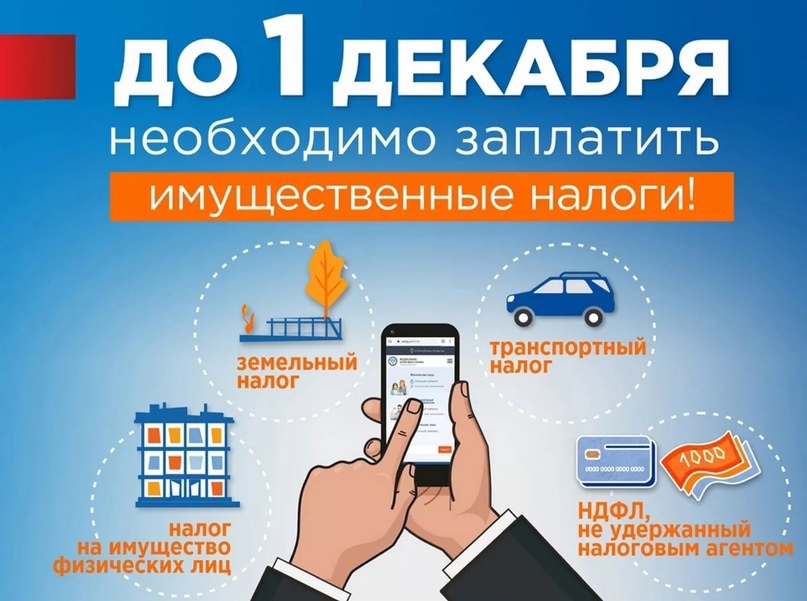 Менее семи дней осталось на уплату имущественных налогов физическими лицами