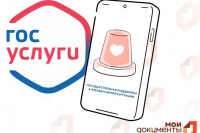 Узнать о господдержке при ЧС можно на Госуслугах