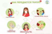 Меры профилактики гриппа и ОРВИ