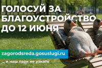 Всероссийское онлайн-голосование за объекты благоустройства