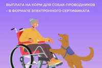 Люди с нарушением зрения теперь могут возместить затраты  на корм для собак-проводников