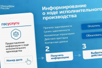 Подать заявление судебным приставам и узнать об исполнительном производстве можно на Госуслугах