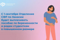 Отделение СФР по Хакасии начнет выплачивать пособие по беременности и родам студенткам